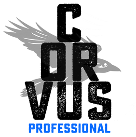 Corvus Professional Logo